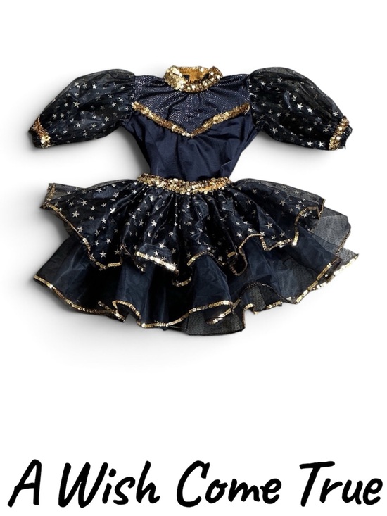 A Wish Come True Other - A Wish Come True -Sz S Adult- Black and Gold Star Tutu Costume